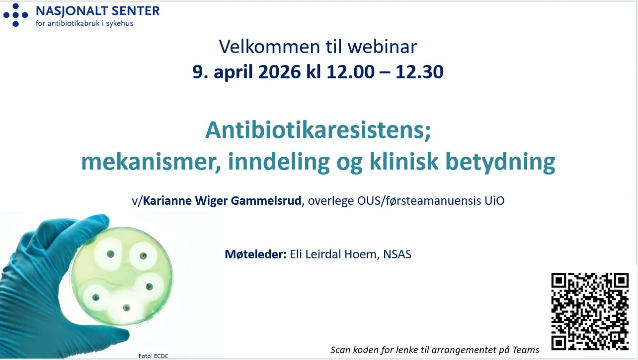 Grafisk brukergrensesnitt