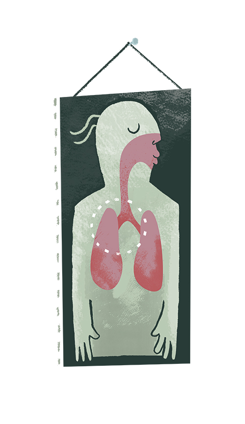 Illustrasjon av luftveier