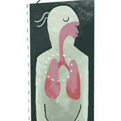 Illustrasjon av luftveier