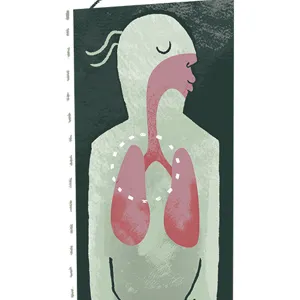 Illustrasjon av luftveier